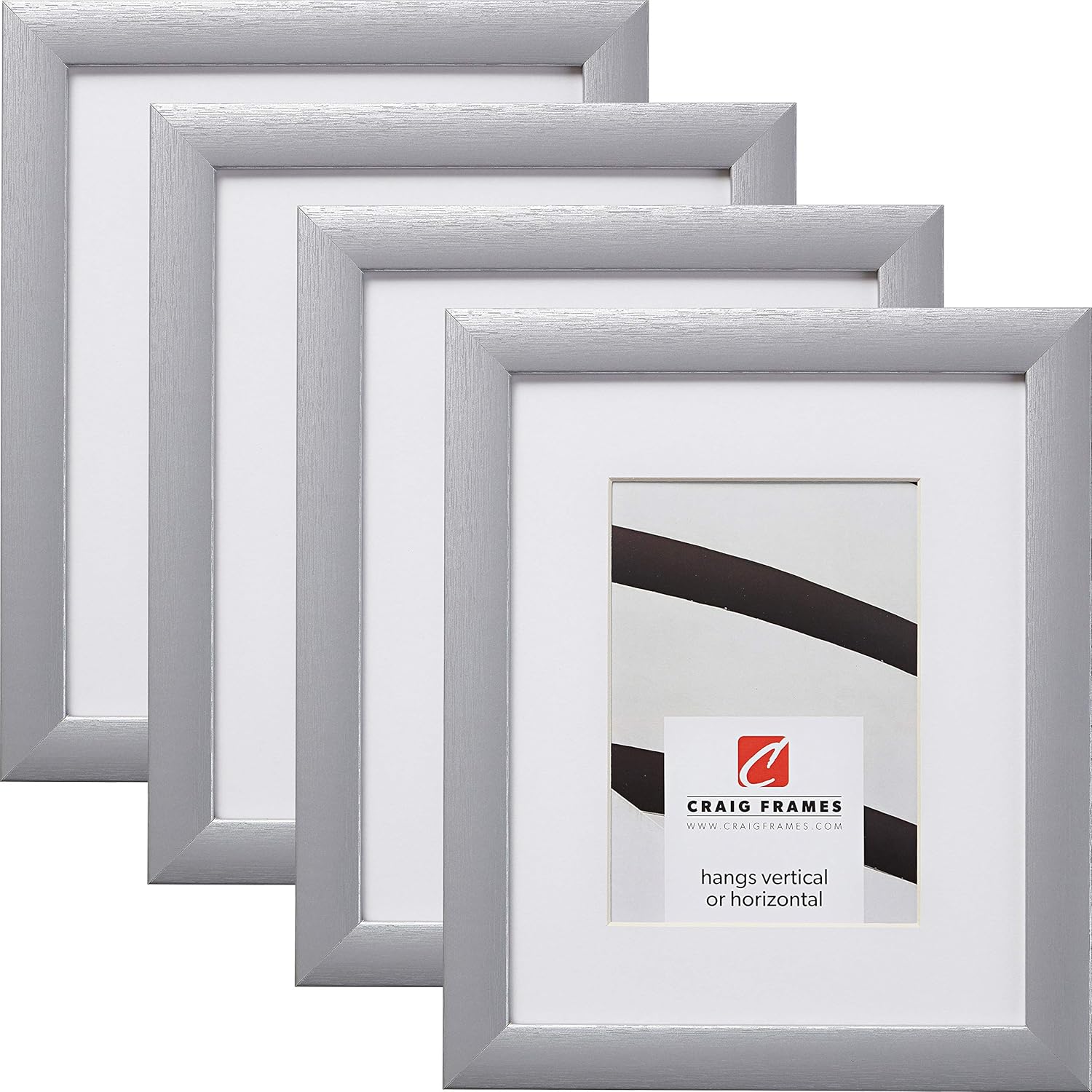 Craig Frames Contemporary, 18 x 24 Inch Brushed Silver Picture Frame Matted to Craig Frames Contemporary, 18 x 24 Inch Brushed Silver Picture Frame Matted to