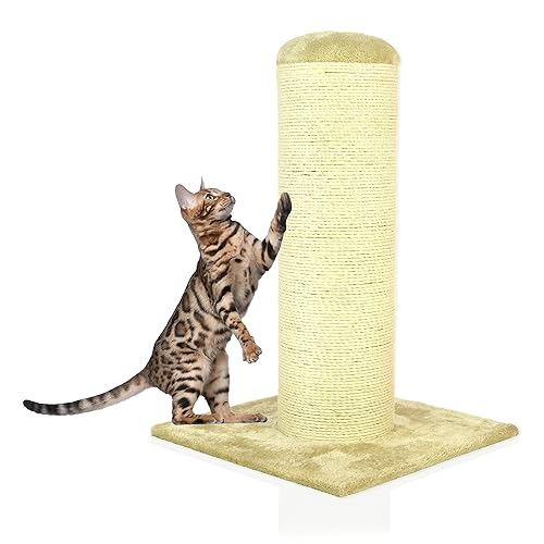 Floor to Ceiling Cat Tree Cat Scratch Post Amazon.co.uk Pet Supplies