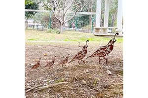SWNACOR 5PCS Rusty Quail Family Decorative Garden Stakes, Metal Birds Yard Decor, Bird Lover Gifts for Women Mom Grandma Wife, Metal Birds Statues Garden Sculptures and Yard Art, Patio, Lawn Ornaments