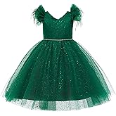 Weileenice Little/Big Girl Party Dress Tulle Girls Wedding Pageant Gown Kids Vintage Prom Holiday Tutu Dresses