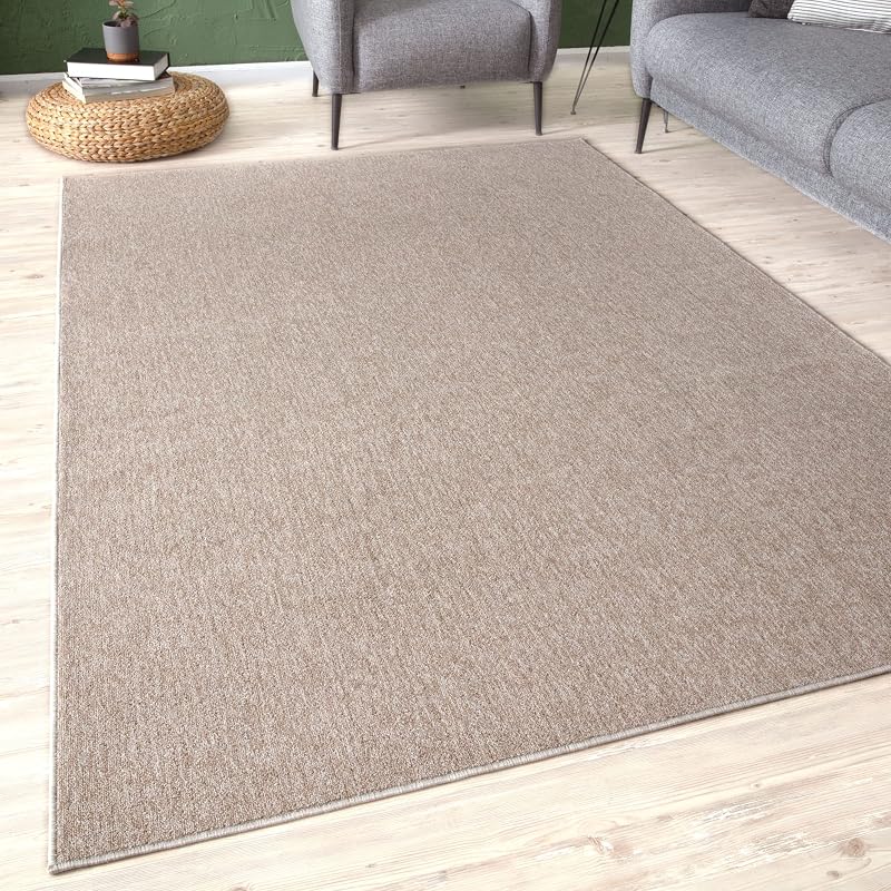 THE RUGS Low Pile Area Rug Beige 80x150 cm Non-Shedding Modern Indoor