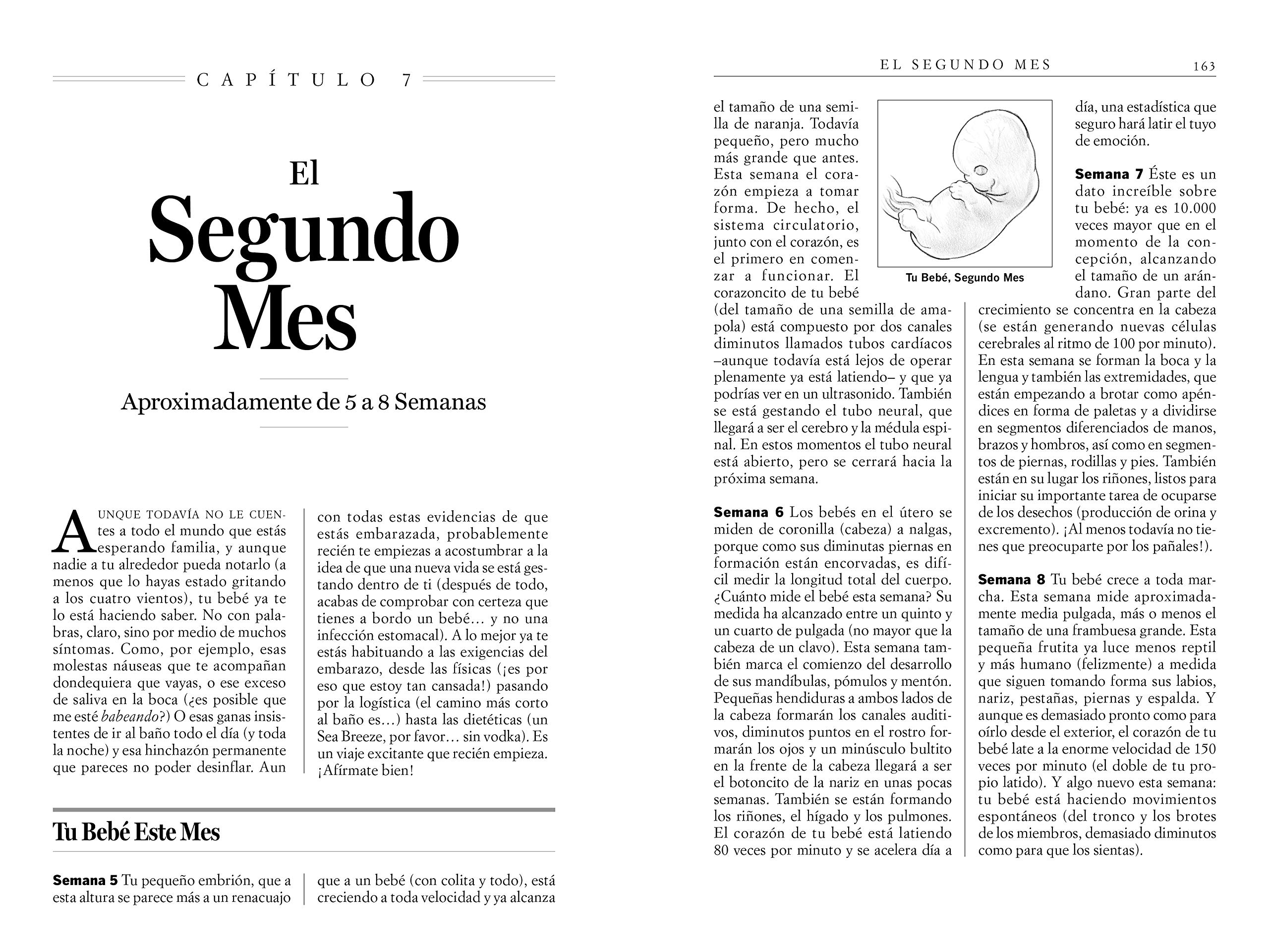 Que Puedes Esperar Cuando Estas Esperando 4th Edition Que Puedes Esperar Spanish Edition Murkoff Heidi Amazon Com Books