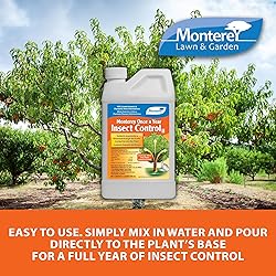 Monterey - Once A Year Insect Control II - Systemic