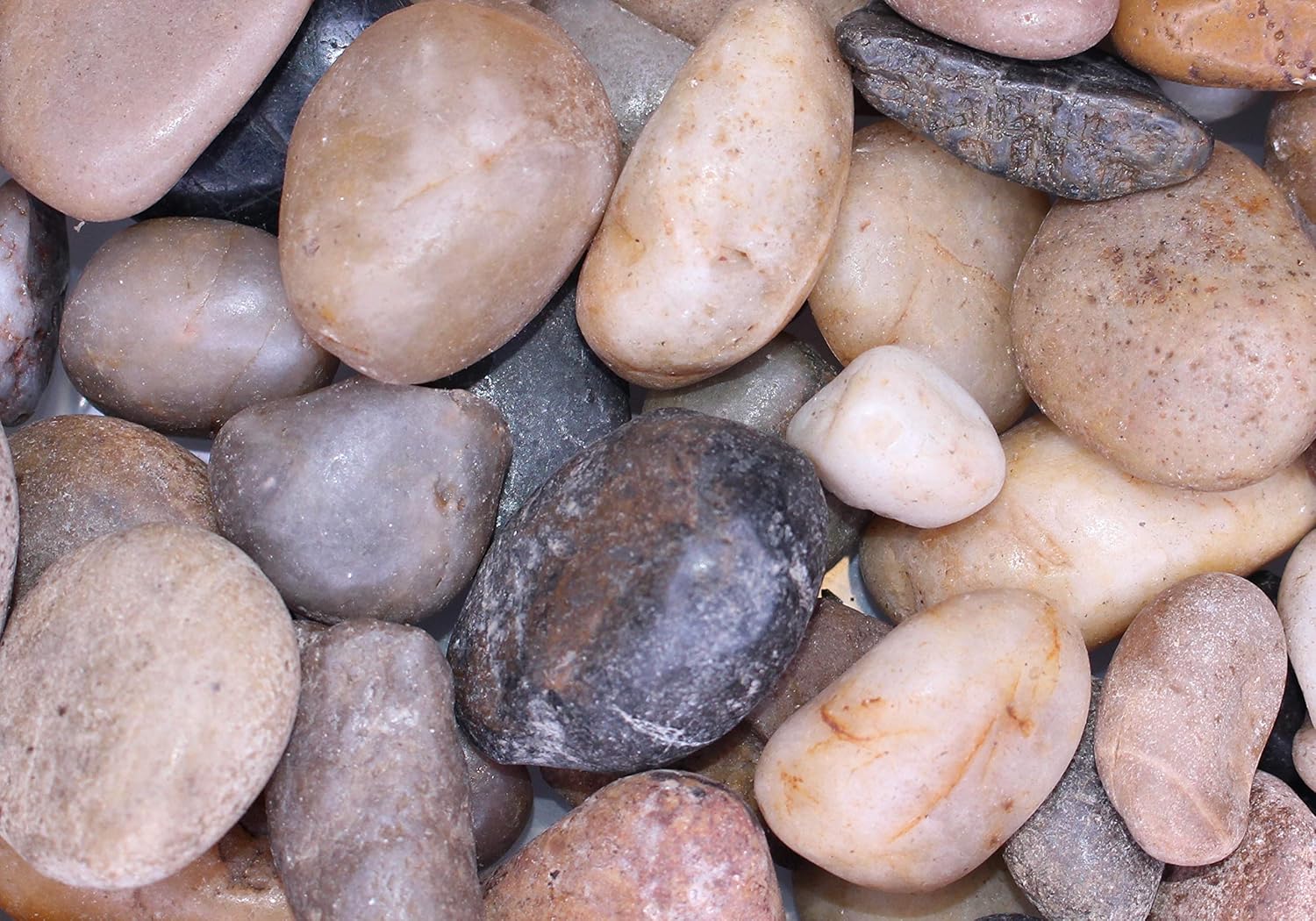 Exotic | Polished Mixed Pebbles | 20 Pound Bag | 3/4-1 1/4 Inch Pebble Size | Perfect for Landscaping, Flower Arrangements and Potted Plants : Garden & Outdoor