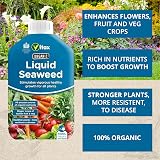 Vitax Organic Liquid Seaweed Concentrate 500ml for Plants Flowers Fruit Veg view 2