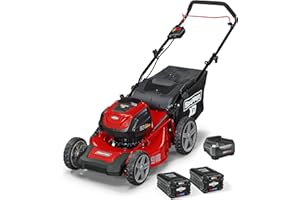 Snapper XD 82V MAX Cordless Electric 19" Push Lawn Mower, Includes Kit of 2 2.0 Batteries and Rapid Charger