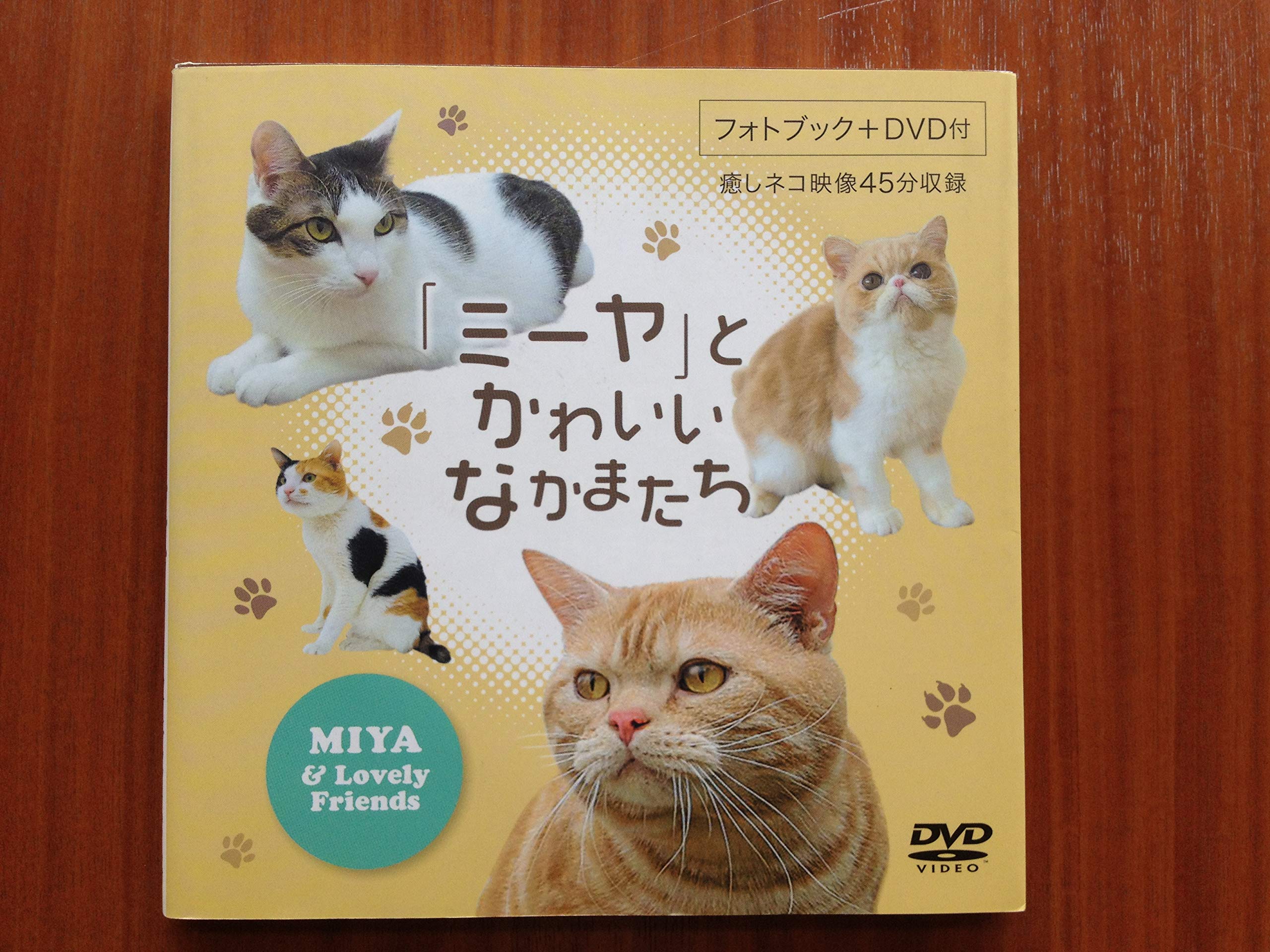 Dvd ミーヤとかわいいなかまたち Dvd 本 通販 Amazon