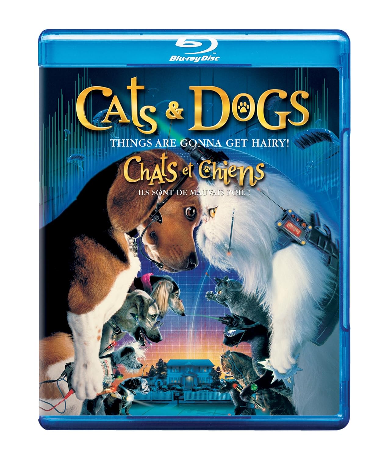 Amazoncom Cats And Dogs Things Are Gonna Get Hairy