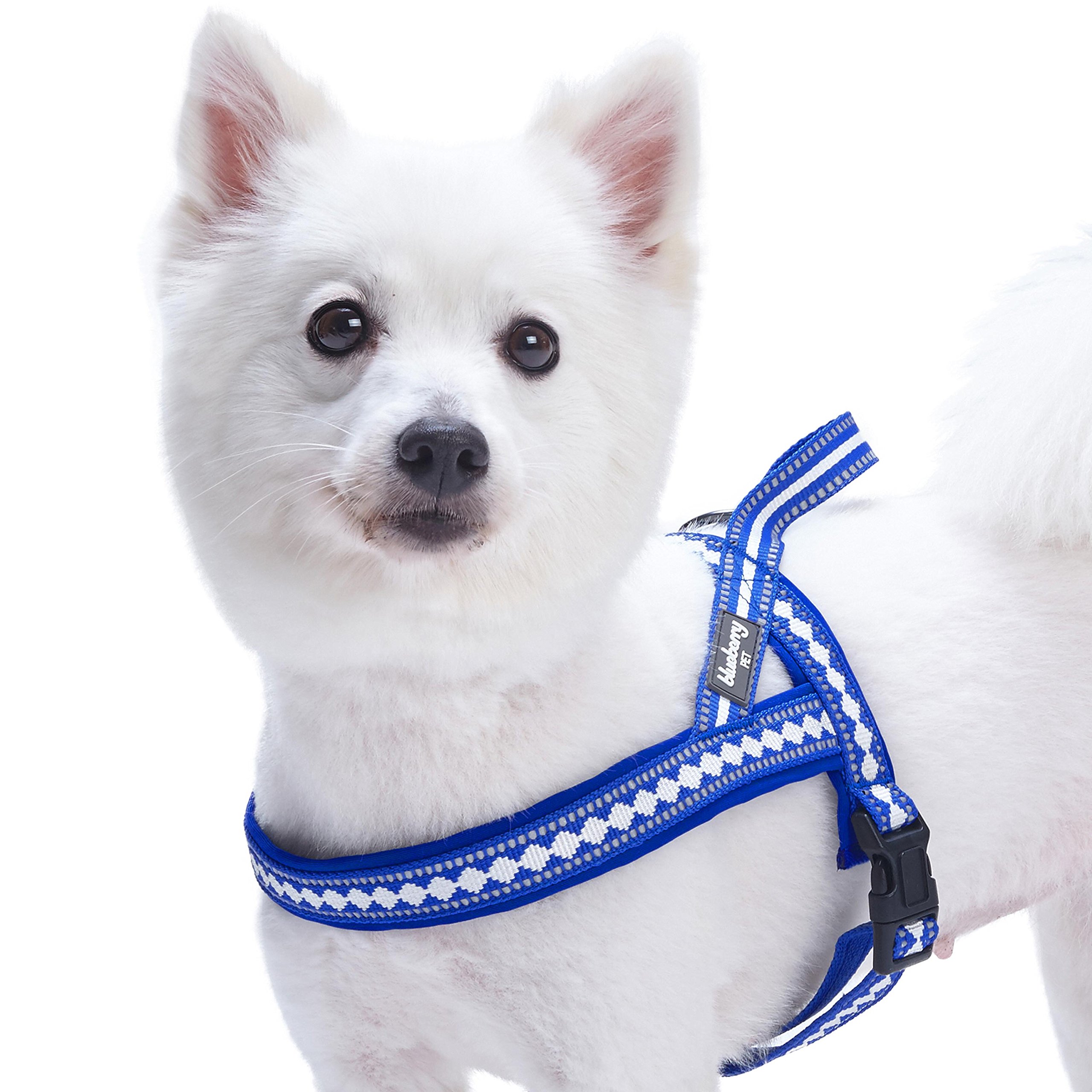 Blueberry Pet Comfy 3M Reflective Jacquard Padded Dog Harness, Chest Girth 65-80cm, Palace Blue, Reflective Adjustable Harnesses for Dogs