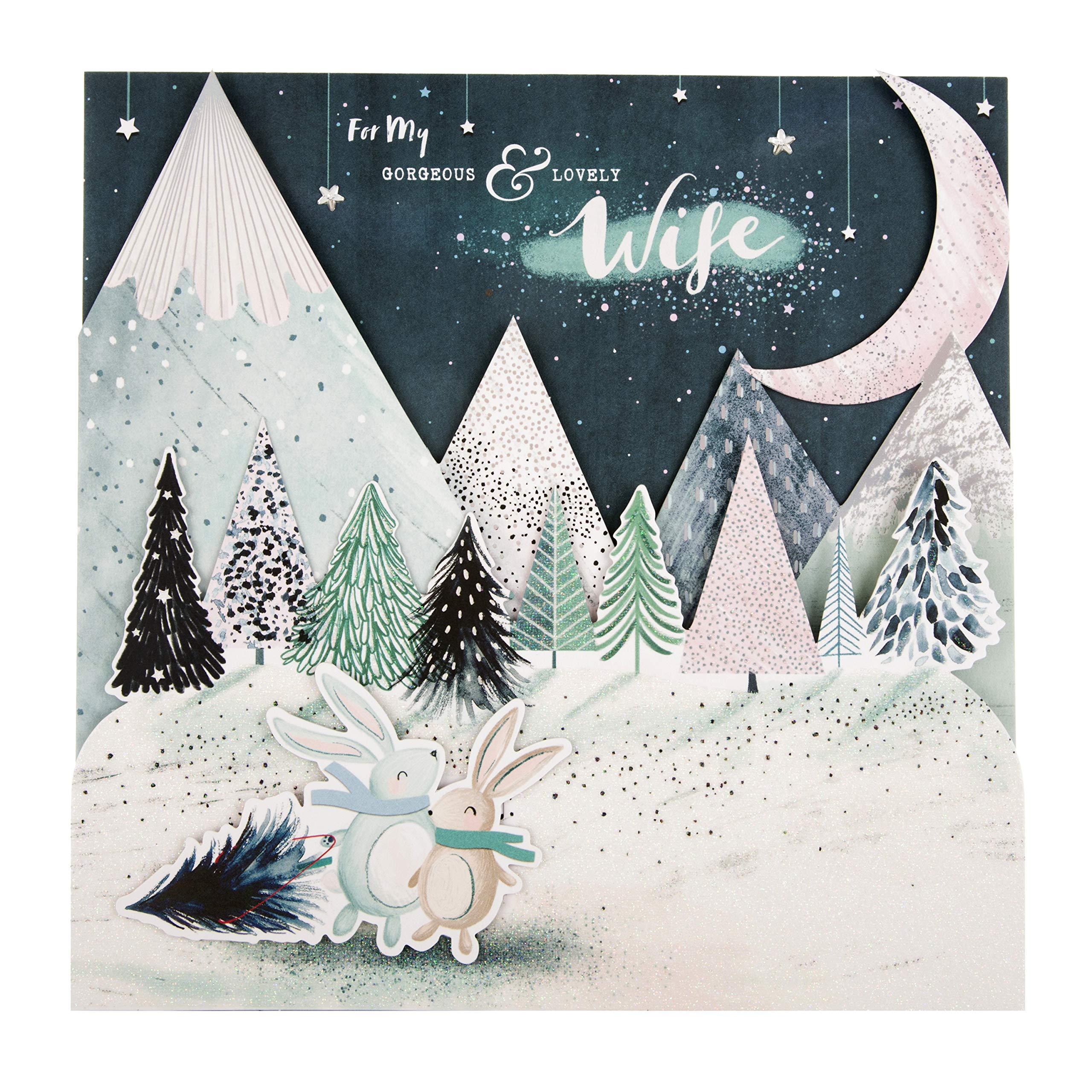 Hallmark Christmas Card for Wife - Cute 3D Fold-Out Rabbits Design
