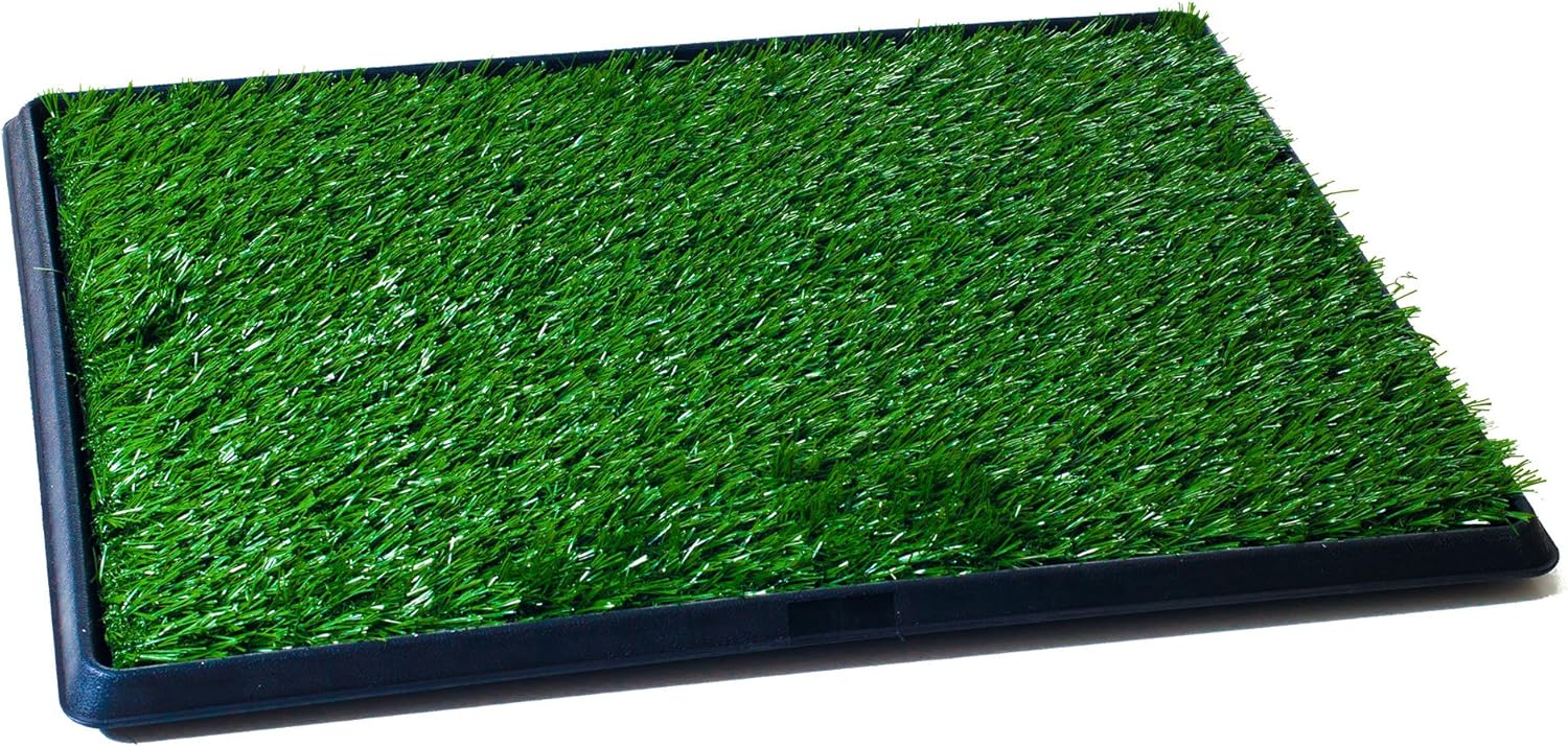 PETMAKERThe Indoor Restroom Puppy Potty Trainer for Pets, Medium, Green (80-ST2025) : Pet Supplies