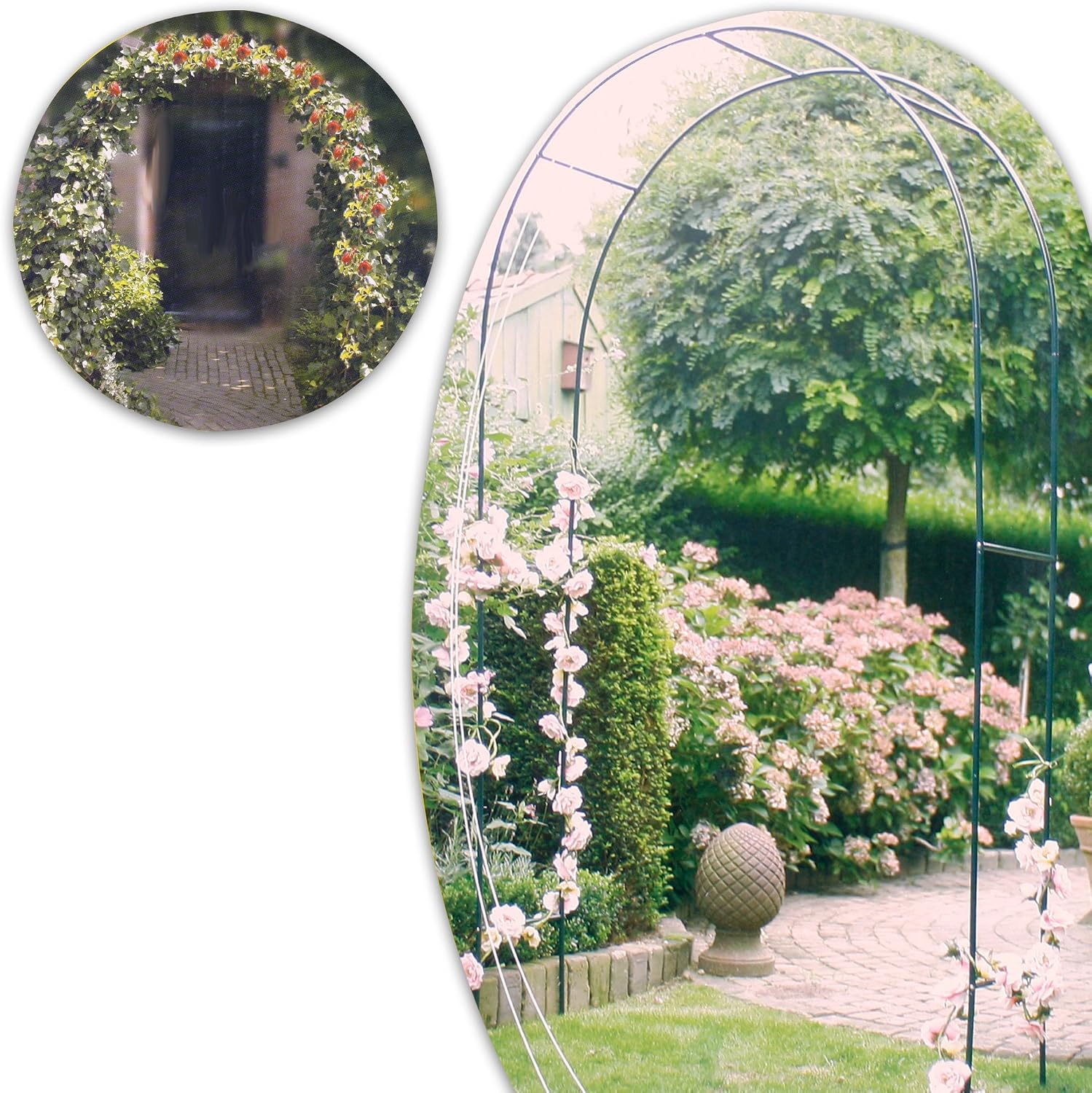 Pergola para rosas rose columna Rank ayuda Rank columna ...