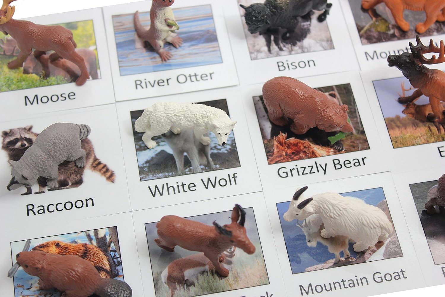 Which Is The Best Building Language Miniatures And Cards