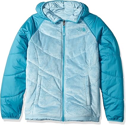 north face perseus