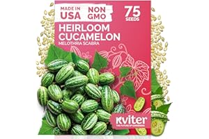 KVITER 75 Cucamelon Seeds for Planting (Melothria Scabra) – Mexican Sour Gherkin Seeds, Gherkin Cucumber, Mexican Mini Watermelon – Heirloom Vegetable Seed for Outdoor & Indoor Garden, Containers