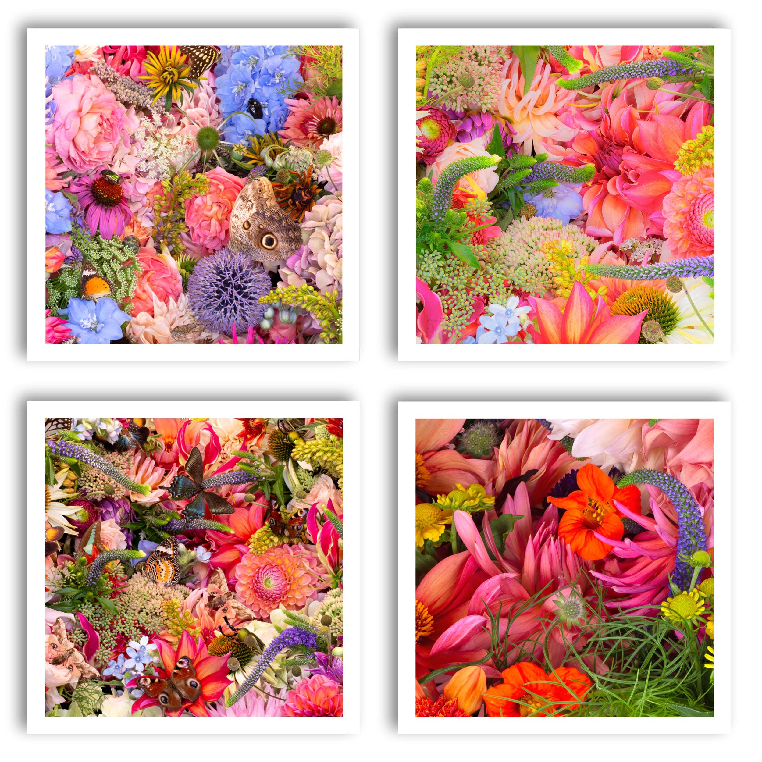 Kay Minter Floral Montage Greeting Cards (Square) - Joyful Celebration Pack of 4 with Envelopes - Blank Inside - Birthday, Thank-You, Anniversary