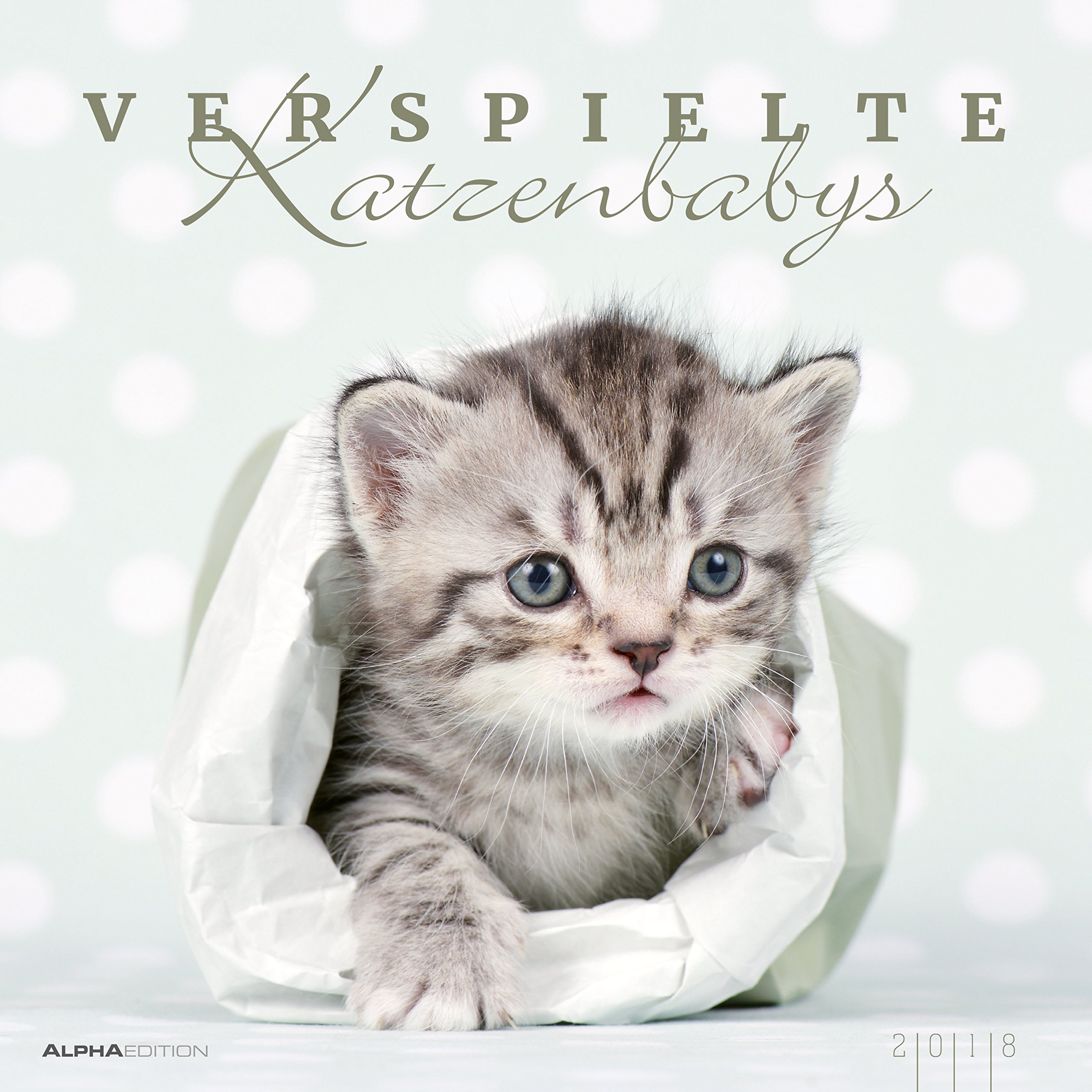 Wall Calendar"Kittens 2018 33 x 33 cm