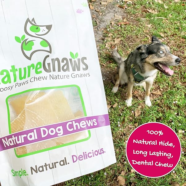 NATURE GNAWS PORK SKIN CHEWS FOR DOGS – PREMIUM NATURAL TASTY JERKY TREATS – LONG LASTING DOG CHEW BONES – RAWHIDE FREE