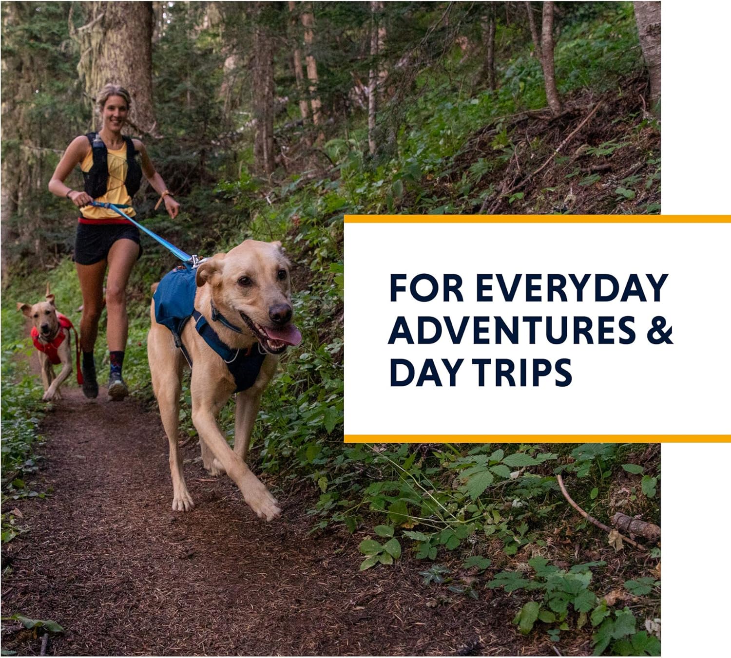 RUFFWEAR Switchbak Every-Day Dog Harness with Pockets - Image 3