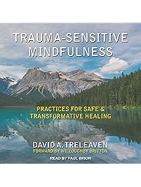 Trauma-Sensitive Mindfulness: Practices for Safe and Transformative Healing