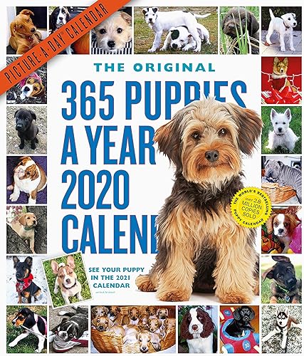 Download 365 Puppies-a-Year Picture-a-Day 2020 Calendar PDF