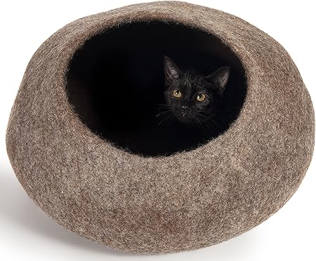 cat pod