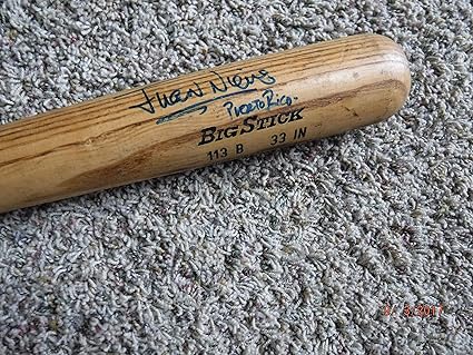 adirondack bats
