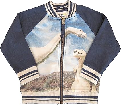 kids dinosaur jacket