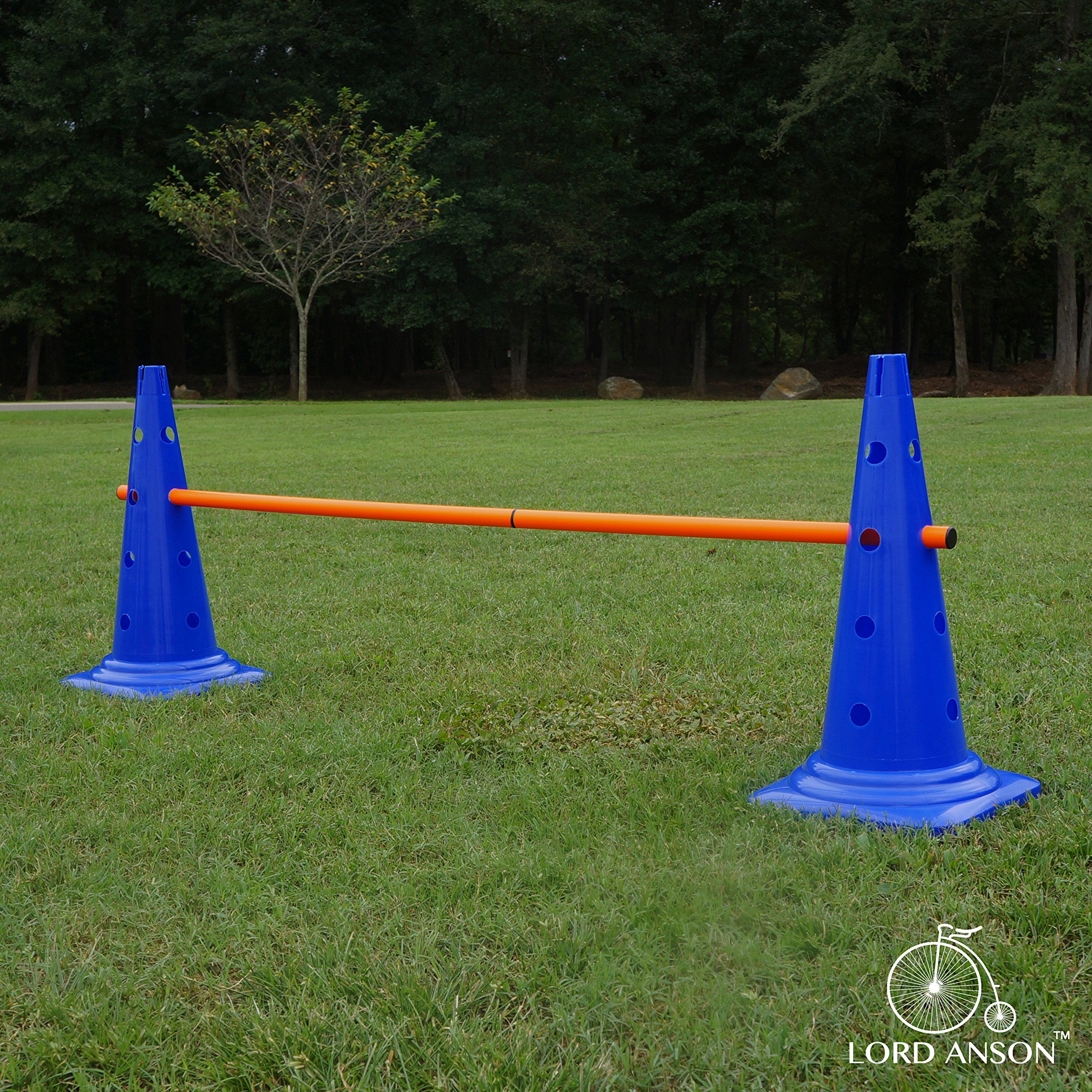 Galleon Lord Anson Trade; Dog Agility Hurdle Cone Set Canine
