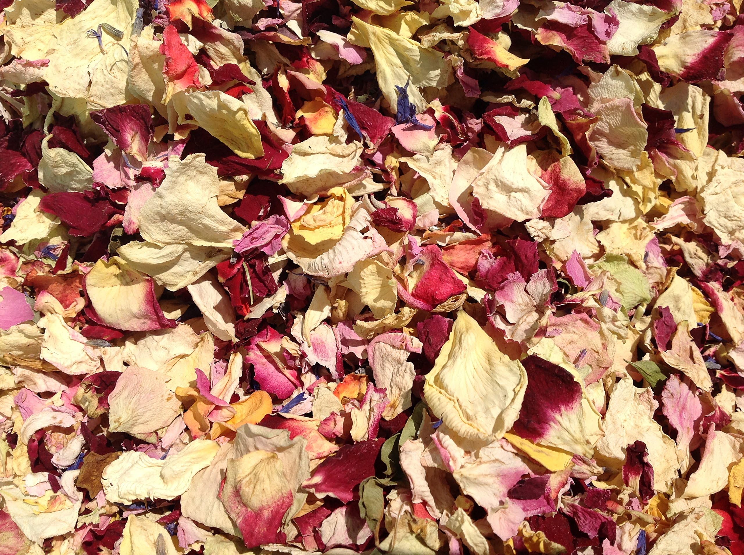 Stripey Finds Classic 'Festival Mix' Natural Biodegradable Dried Flower Petal Confetti - 1 Litre - Approx. 10 Handfuls - Pink, Red & Yellow, Burgundy Rose, Cornflower, Lemon Verbena, Lavender (55)