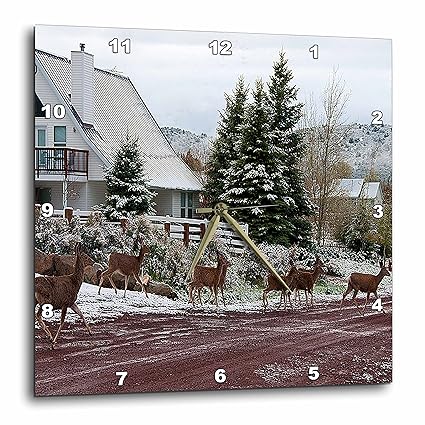 Amazon Com 3drose Dpp 49514 3 Eight Deer Crossing Road In Pine