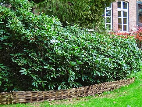 EXCOLO Beeteinfassung Flechtweide 120 x 20 cm hoch (10 Stück) Beetumrandung Palisade Beetkante Beetzaun