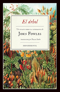 Un año en los bosques: A Country Year. Living the Questions Libros ...