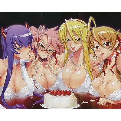 Buy Superior Posters Highschool Dead Poster Promo Saeko Busujima Anime Okami San Triage X Official Big Girl Rei Seven Asobi Ni Ikuyo Bikini 16x Online In Vietnam B00vjbpnw4