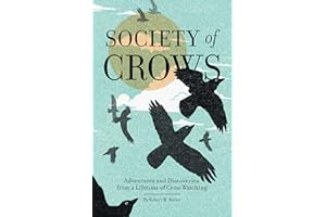 Society of Crows