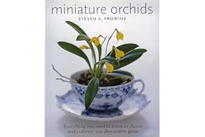 Miniature Orchids