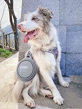 OHMO Collapsible Large Dog Bowl 800ml Carabiner Foldable Silicone Bowl view 7