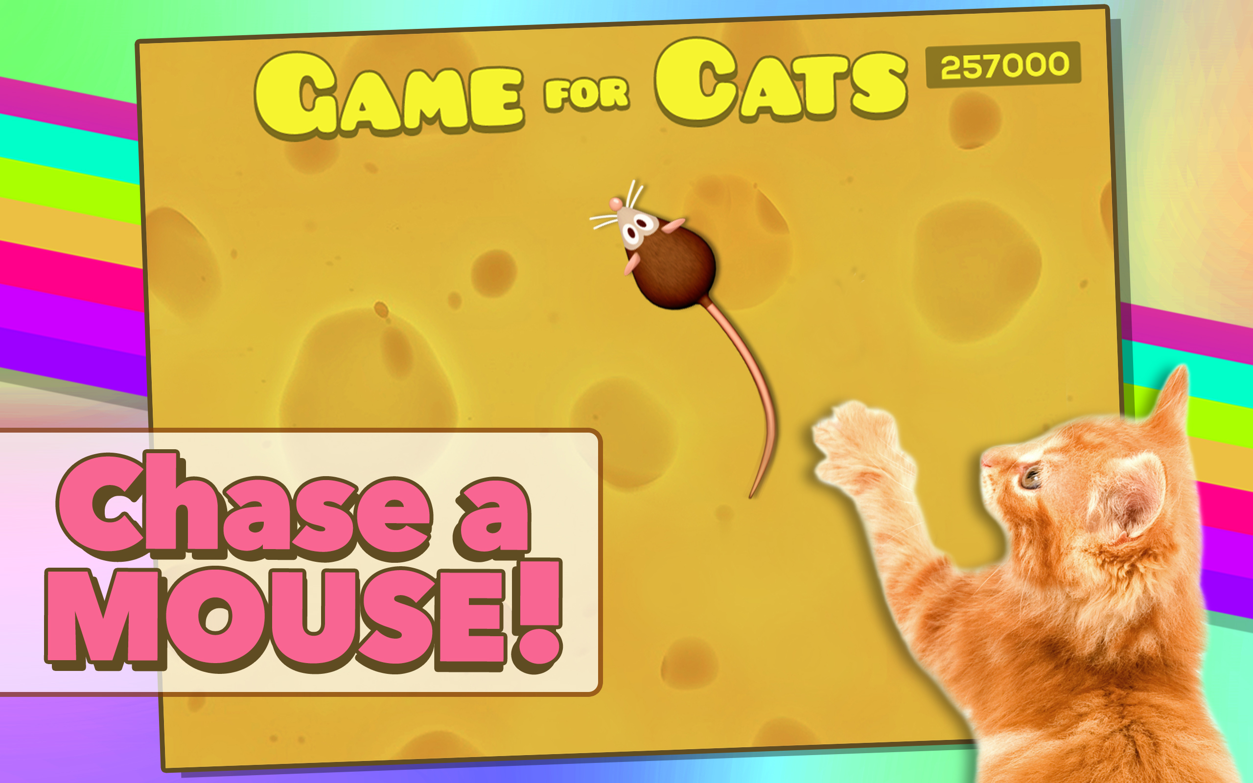 Game for CatsAmazon.esAppstore for Android