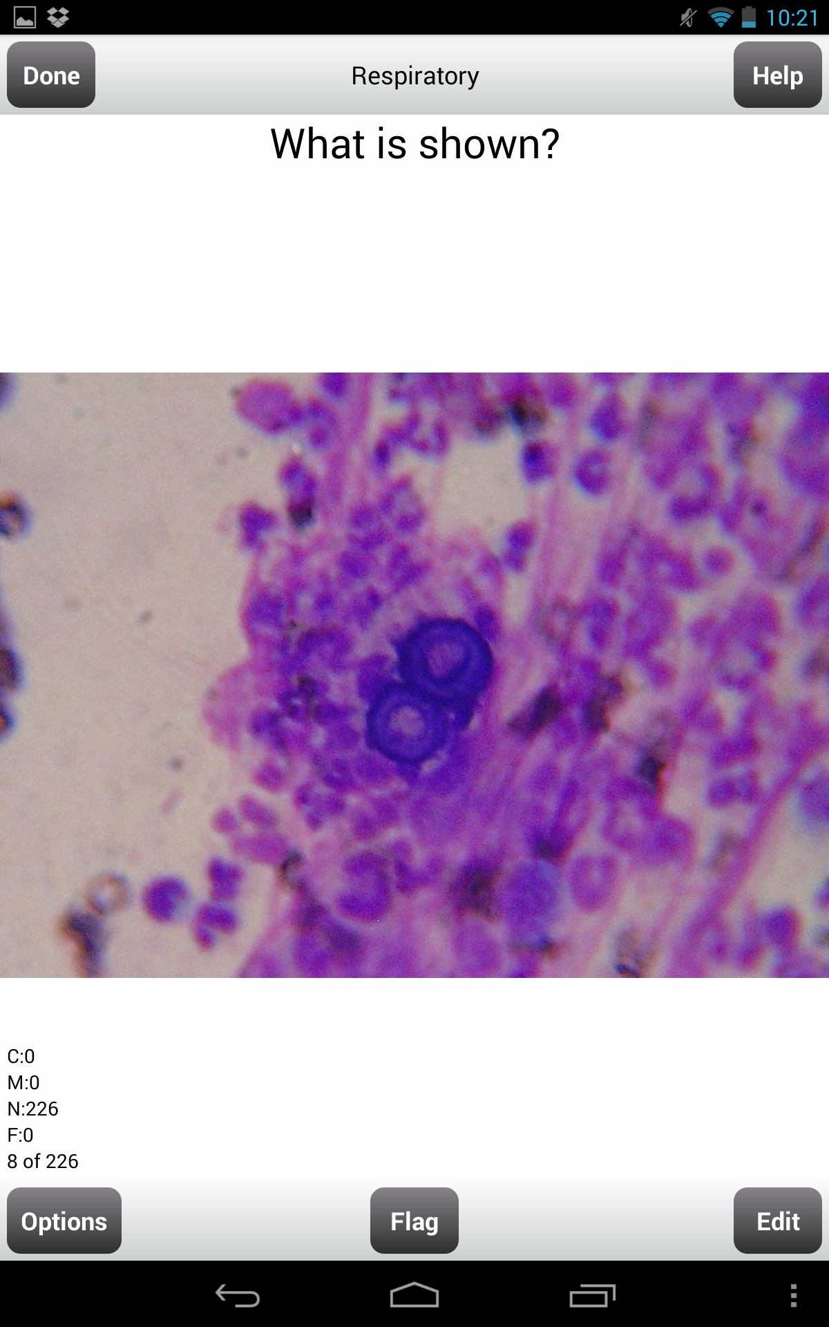 Usmle Step 1 Pathology Flashcards Lite