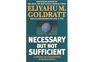 Necessary but Not Sufficient: A Theory of Constraints Business Novel