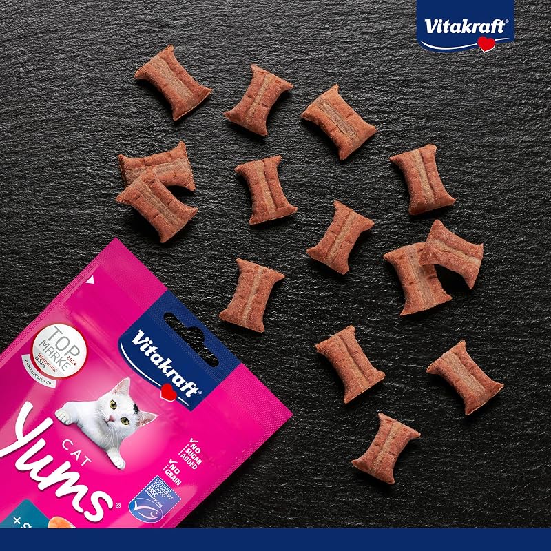 Cat Yums, Katzensnack, mit Lachs, extra fleischig, mit sichtbarer Füllung, unterstützen Haut und Fell, in Vorratsgröße, im wiederverschließbaren Beutel (9x 40g)