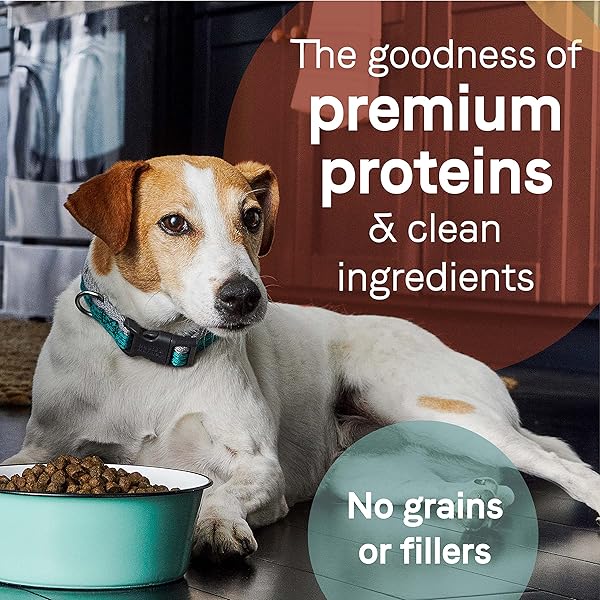 CANIDAE PURE FARM TO BOWL FREE-RANGE BISON, LENTIL & CARROT, ADULT, GRAIN-FREE DRY DOG FOOD, 10LB