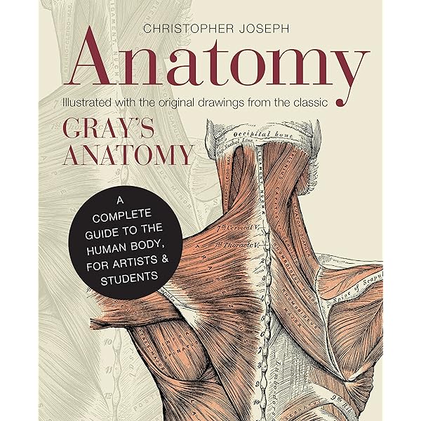 Anatomy for the Artist: A Complete Guide to Drawing the Human Body