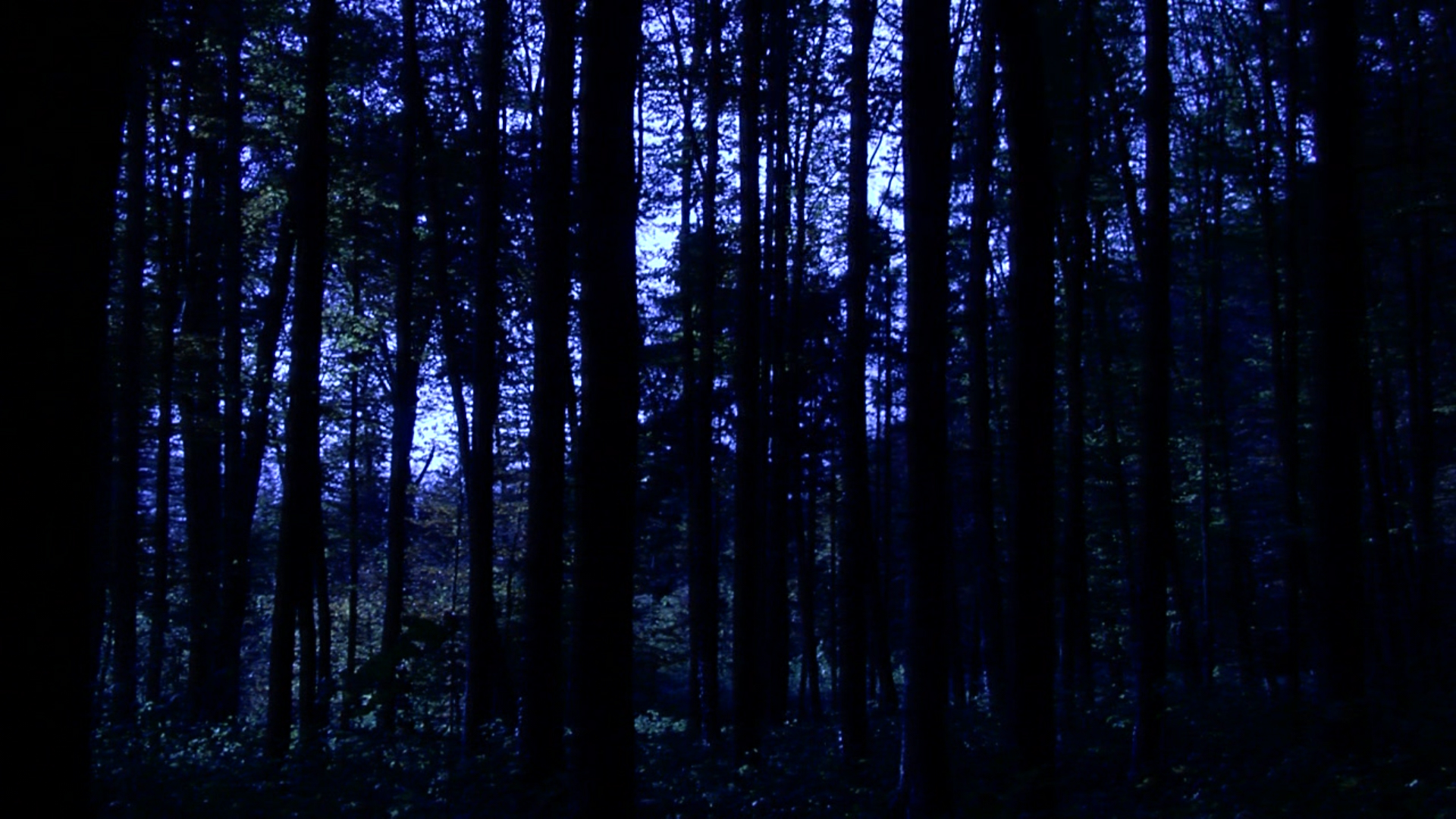 BOB-MEDIA Das kalte Herz von Wilhelm Hauff [audiovisual book] - Thumbnail 4