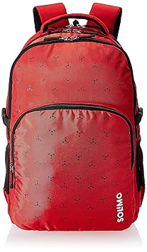 Amazon Brand - Solimo Vogue School Backpack (40 litres, Red)