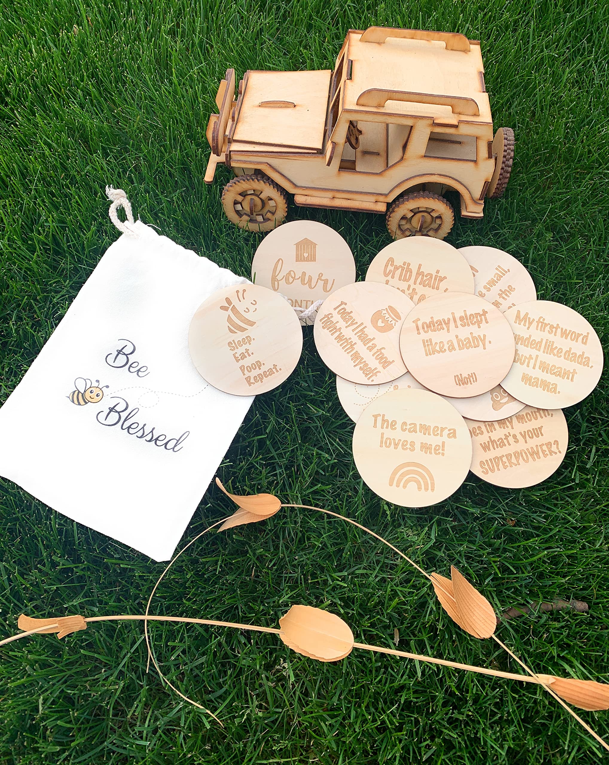 Funny Baby Monthly Milestone Announcement Cards | 13 Round Wooden Double Sided Signs | Gender Neutral Gifts | Baby Shower | Fun Photo Props | Baby Registry | Pregnancy Gift | Baby Photo Props