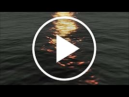 A video posted by the author.