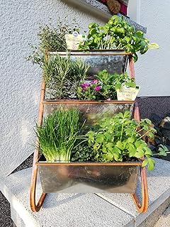 Novaliv Pflanzregal mit 3 Pflanzkästen I verzinkt I Pflanzgestell Balkon Hochbeet Blumenkastenhalter Vertikalbeet Kräuterturm Pflanzenwand Pflanzenregal Blumenregal (Verzinkt)