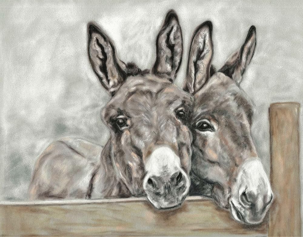 Donkey Art Gifts Original Art Print Donkey Wall Art A5 Unframed: Amazon