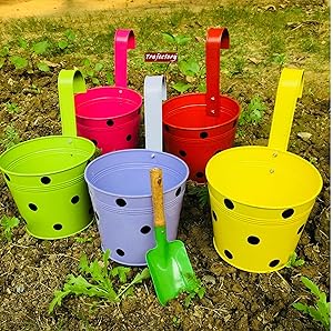 Trajectory Exotic Multicolored Railing Planters with a Gardening Trowel (Set of 5)